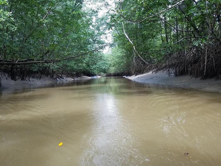 costa rica river tour